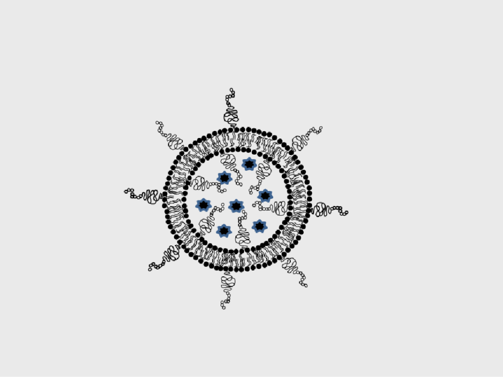 invectors drug delivery company - peptides